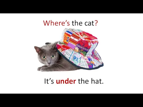 Where’s the cat? It’s under the hat.