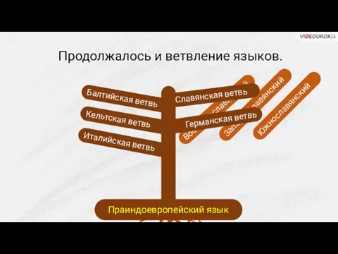 Продолжалось и ветвление языков. Восточнославянский Западнославянский Южнославянский