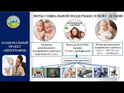 НАЦИОНАЛЬНЫЙ ПРОЕКТ «ДЕМОГРАФИЯ» МЕРЫ СОЦИАЛЬНОЙ ПОДДЕРЖКИ СЕМЕЙ С ДЕТЬМИ Средства