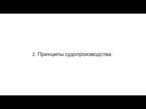 2. Принципы судопроизводства.