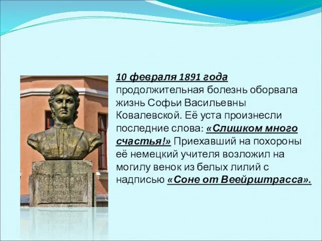 10 февраля 1891 года продолжительная болезнь оборвала жизнь Софьи Васильевны