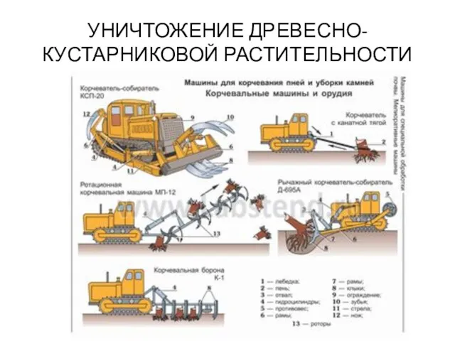 УНИЧТОЖЕНИЕ ДРЕВЕСНО-КУСТАРНИКОВОЙ РАСТИТЕЛЬНОСТИ