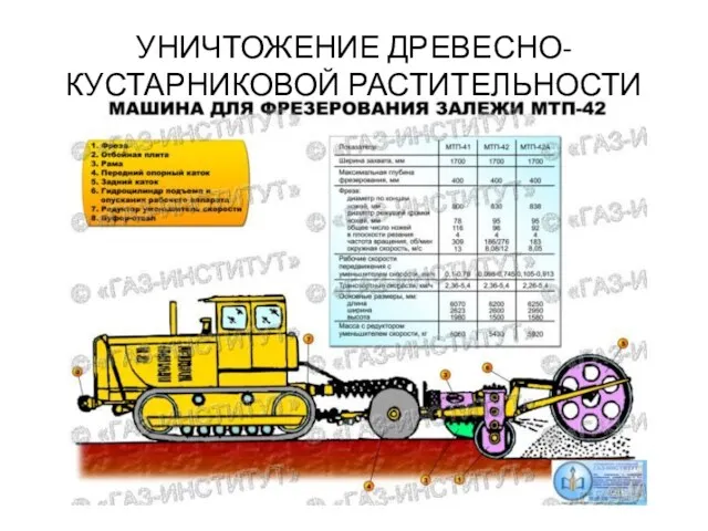 УНИЧТОЖЕНИЕ ДРЕВЕСНО-КУСТАРНИКОВОЙ РАСТИТЕЛЬНОСТИ