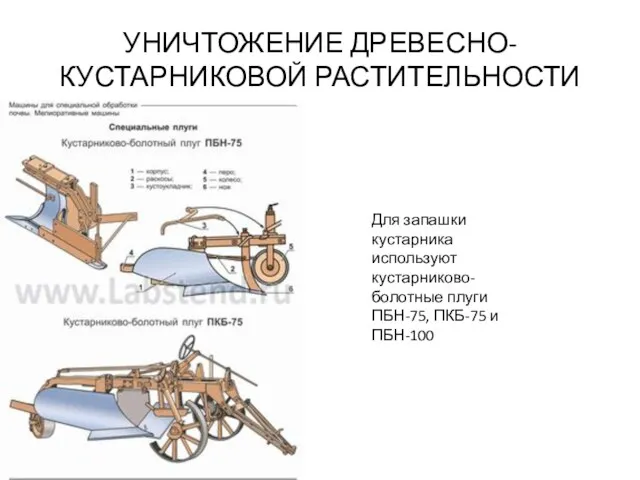 УНИЧТОЖЕНИЕ ДРЕВЕСНО-КУСТАРНИКОВОЙ РАСТИТЕЛЬНОСТИ Для запашки кустарника используют кустарниково-болотные плуги ПБН-75, ПКБ-75 и ПБН-100