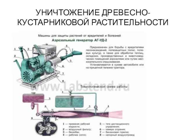 УНИЧТОЖЕНИЕ ДРЕВЕСНО-КУСТАРНИКОВОЙ РАСТИТЕЛЬНОСТИ