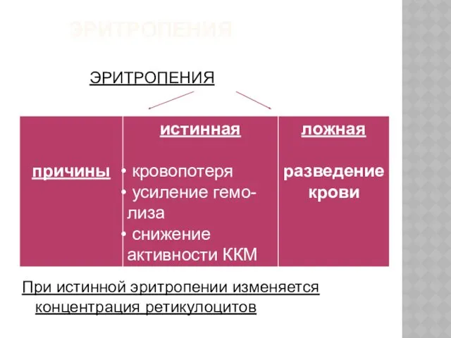 ЭРИТРОПЕНИЯ ЭРИТРОПЕНИЯ При истинной эритропении изменяется концентрация ретикулоцитов