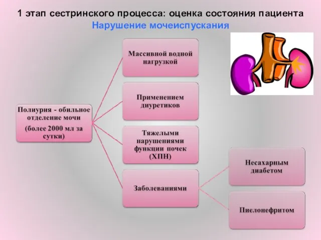 1 этап сестринского процесса: оценка состояния пациента Нарушение мочеиспускания