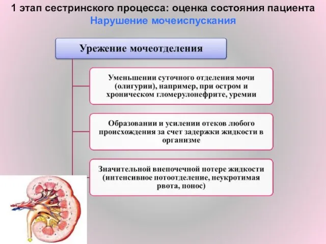 1 этап сестринского процесса: оценка состояния пациента Нарушение мочеиспускания