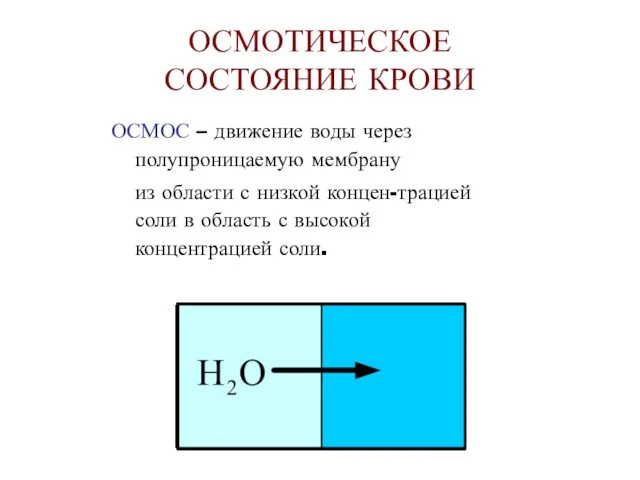 ОСМОТИЧЕСКОЕ СОСТОЯНИЕ КРОВИ ОСМОС – движение воды через полупроницаемую мембрану