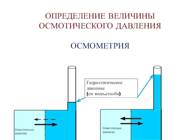 Гидростатическое давление (см водн.столба) Осмотическое давление Осмотическое давление ОПРЕДЕЛЕНИЕ ВЕЛИЧИНЫ ОСМОТИЧЕСКОГО ДАВЛЕНИЯ ОСМОМЕТРИЯ