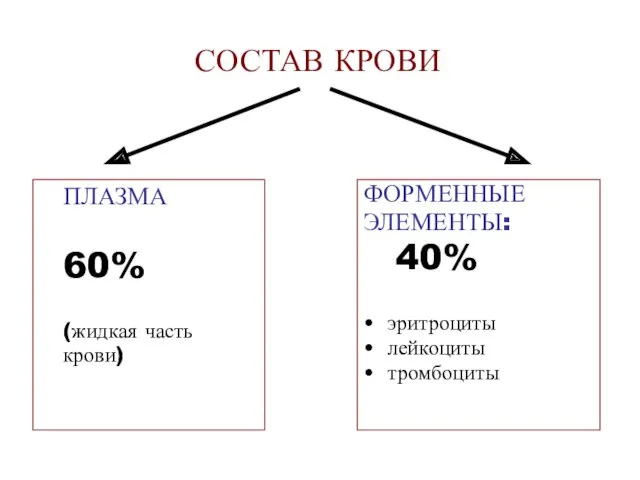 СОСТАВ КРОВИ ПЛАЗМА 60% (жидкая часть крови) ФОРМЕННЫЕ ЭЛЕМЕНТЫ: 40% эритроциты лейкоциты тромбоциты