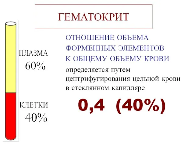 ГЕМАТОКРИТ ОТНОШЕНИЕ ОБЪЕМА ФОРМЕННЫХ ЭЛЕМЕНТОВ К ОБЩЕМУ ОБЪЕМУ КРОВИ определяется