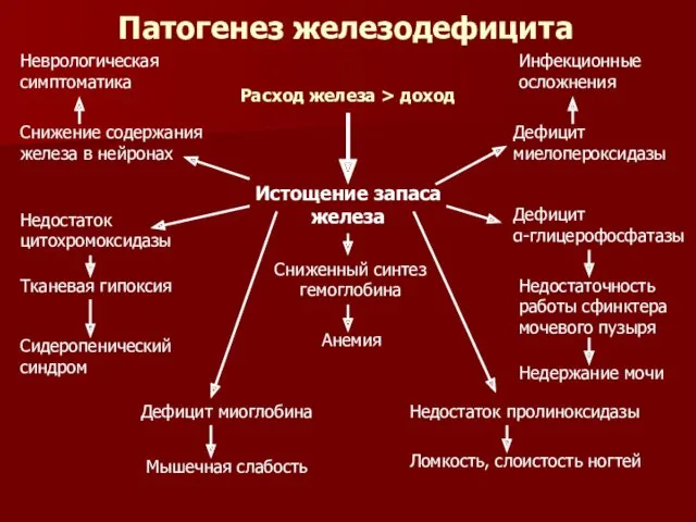 Патогенез железодефицита Истощение запаса железа Сниженный синтез гемоглобина Анемия Расход