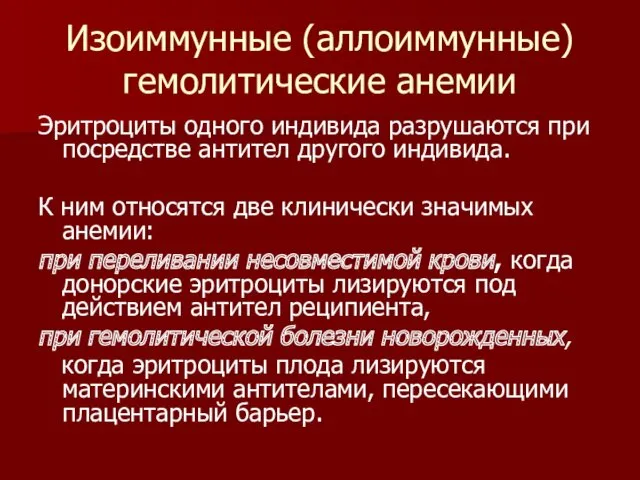 Изоиммунные (аллоиммунные) гемолитические анемии Эритроциты одного индивида разрушаются при посредстве