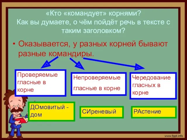 «Кто «командует» корнями? Как вы думаете, о чём пойдёт речь