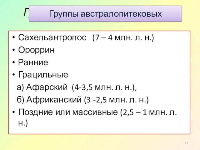 Группы австралопитековых: Сахельантропос (7 – 4 млн. л. н.) Ороррин