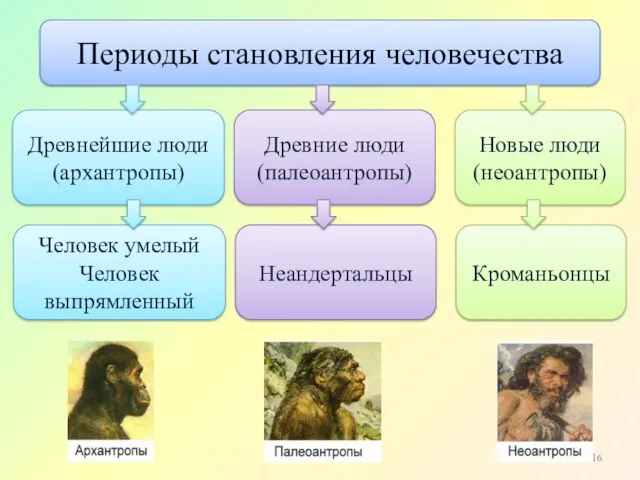 Периоды становления человечества Древнейшие люди (архантропы) Древние люди (палеоантропы) Новые