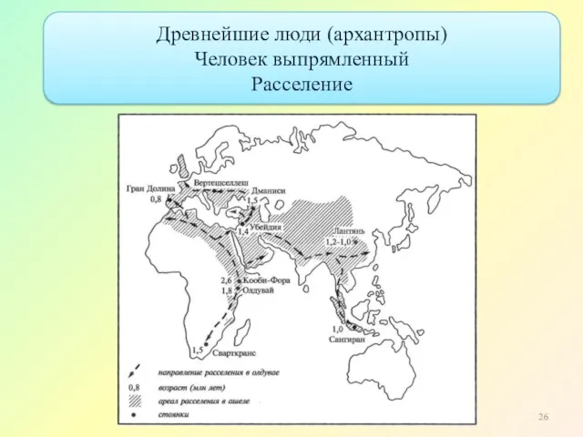 Древнейшие люди (архантропы) Человек выпрямленный Расселение