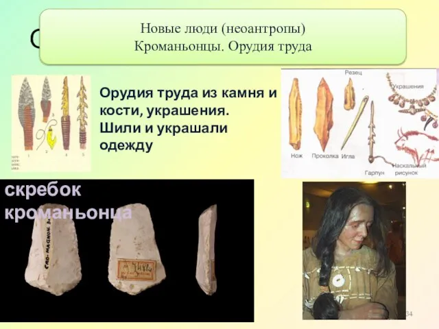 Орудия труда кроманьонца скребок кроманьонца Орудия труда из камня и