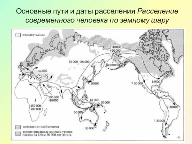 Основные пути и даты расселения Расселение современного человека по земному шару