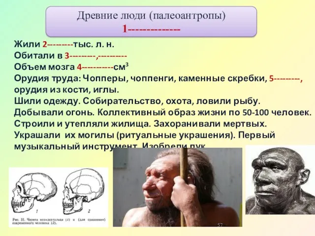 Жили 2---------тыс. л. н. Обитали в 3---------,---------- Объем мозга 4-----------см3