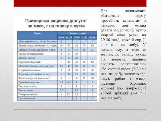 Для додаткового збагачення корму протеїном, каченятам з першого дня можна