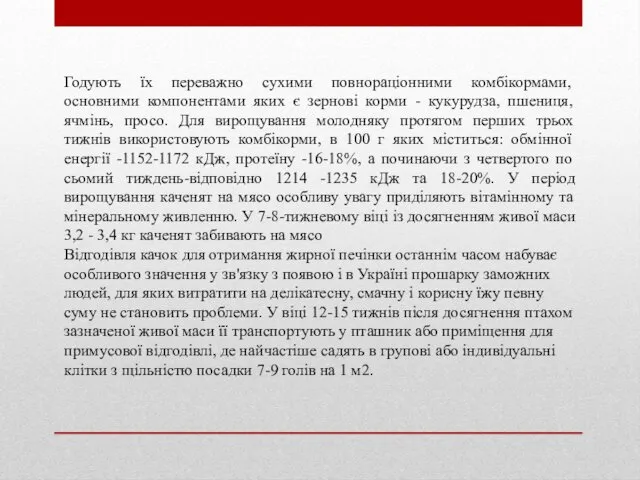 Годують їх переважно сухими повнораціонними комбікормами, основними компонентами яких є зернові корми -