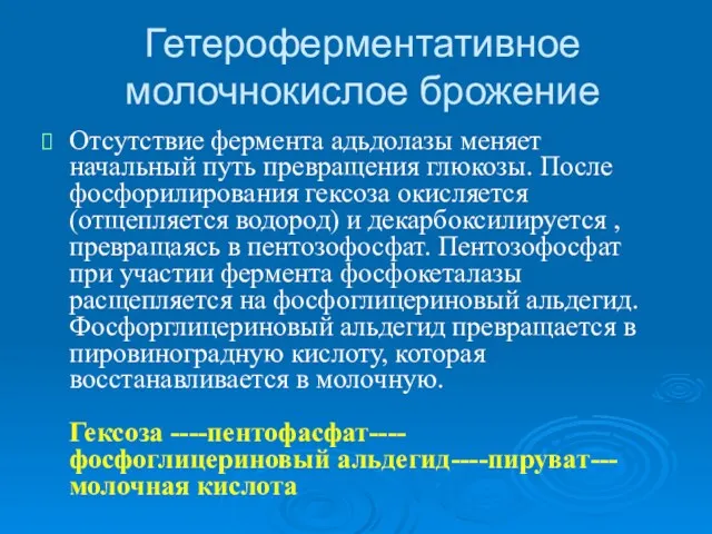 Гетероферментативное молочнокислое брожение Отсутствие фермента адьдолазы меняет начальный путь превращения глюкозы. После фосфорилирования