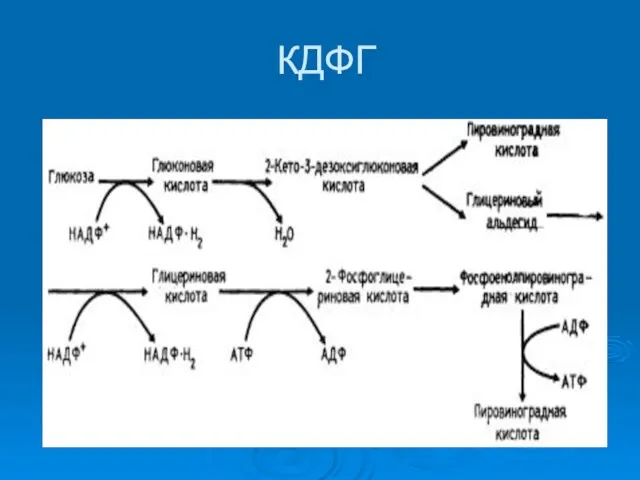 КДФГ