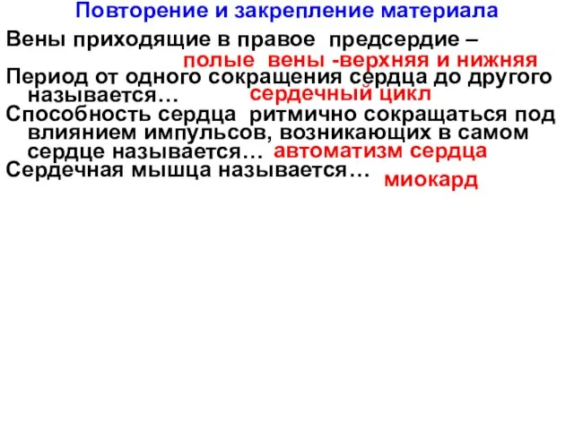 Повторение и закрепление материала Вены приходящие в правое предсердие –