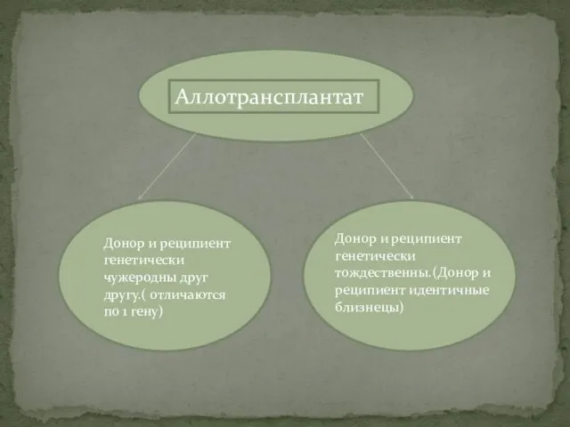 Аллотрансплантат Донор и реципиент генетически чужеродны друг другу.( отличаются по 1 гену) Донор