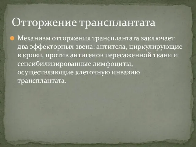 Механизм отторжения трансплантата заключает два эффекторных звена: антитела, циркулирующие в