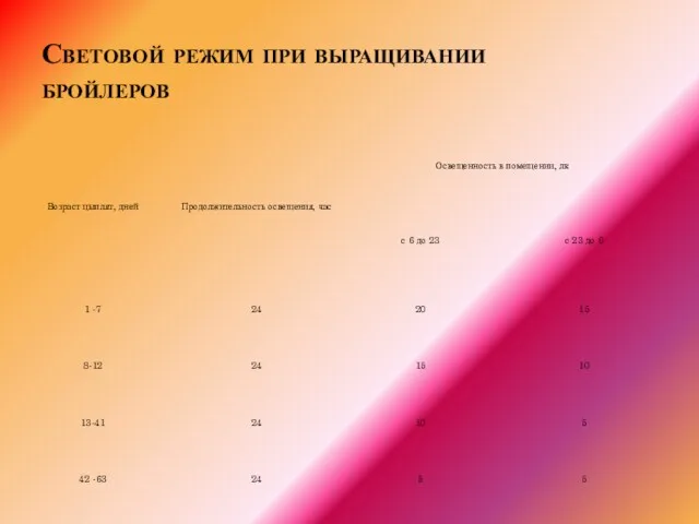 Световой режим при выращивании бройлеров