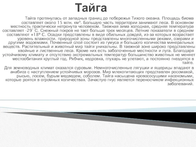 Тайга Тайга протянулась от западных границ до побережья Тихого океана.