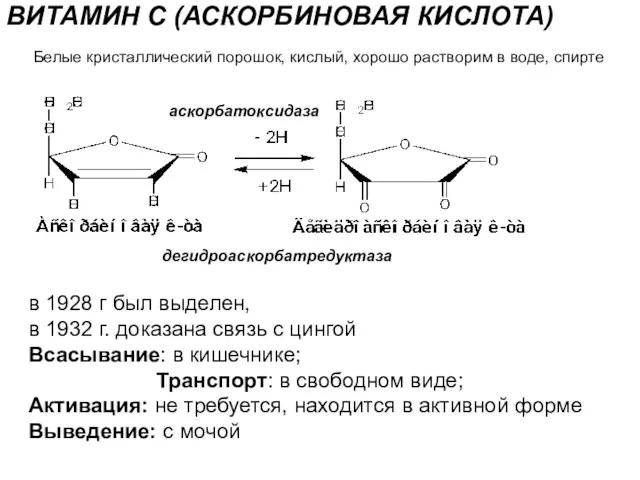 ВИТАМИН С (АСКОРБИНОВАЯ КИСЛОТА) в 1928 г был выделен, в