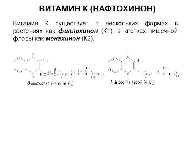 ВИТАМИН К (НАФТОХИНОН) Витамин К существует в нескольких формах в