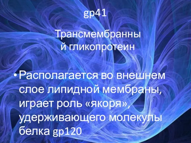 gp41 Располагается во внешнем слое липидной мембраны, играет роль «якоря», удерживающего молекулы белка gp120 Трансмембранный гликопротеин