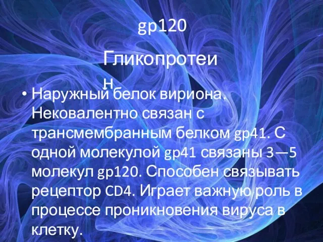 gp120 Наружный белок вириона. Нековалентно связан с трансмембранным белком gp41. С одной молекулой