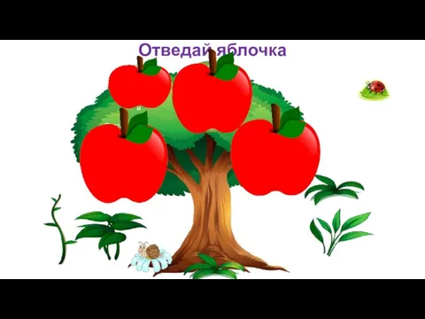 Отведай яблочка Цветки, плоды и семена называют…органами Процесс поглощение клеткой