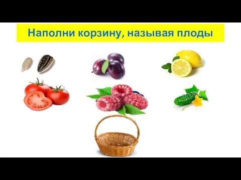 Наполни корзину, называя плоды семянка костянка померанец ягода многокостянка тыквина