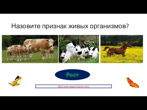 Назовите признак живых организмов? Рост Дай ему характеристику