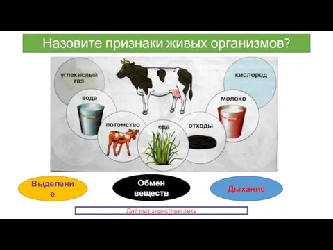 Назовите признаки живых организмов? Выделение Обмен веществ Дыхание Дай ему характеристику