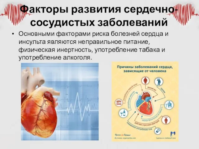 Факторы развития сердечно-сосудистых заболеваний Основными факторами риска болезней сердца и