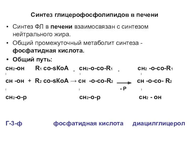 Синтез глицерофосфолипидов в печени Синтез ФЛ в печени взаимосвязан с синтезом нейтрального жира.