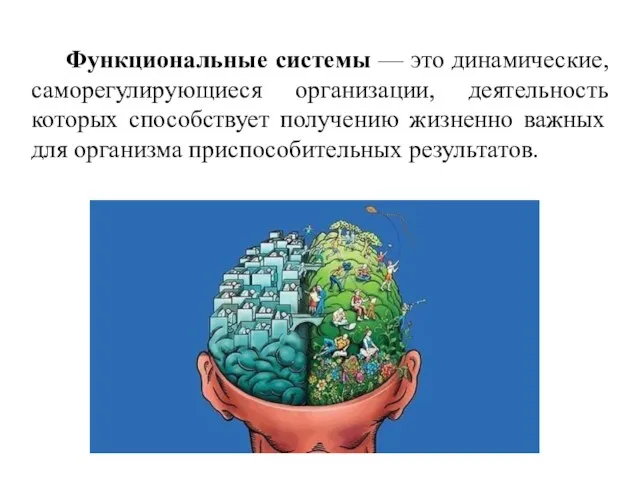 Функциональные системы — это динамические, саморегулирующиеся организации, деятельность которых способствует