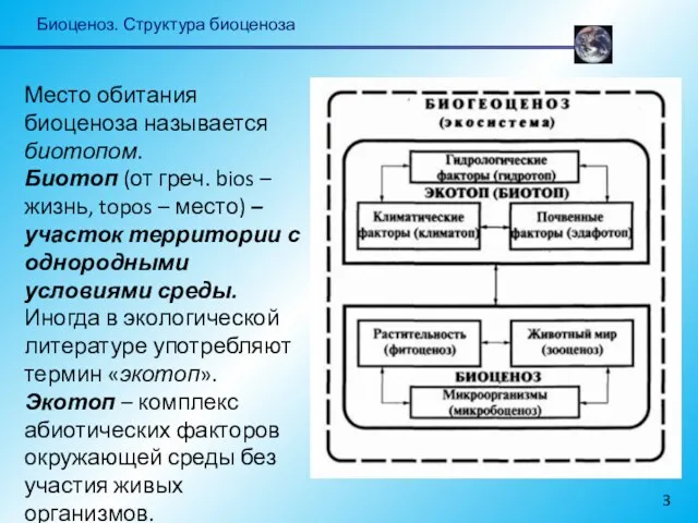 Биоценоз. Структура биоценоза Место обитания биоценоза называется биотопом. Биотоп (от