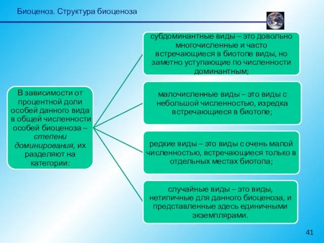 Биоценоз. Структура биоценоза