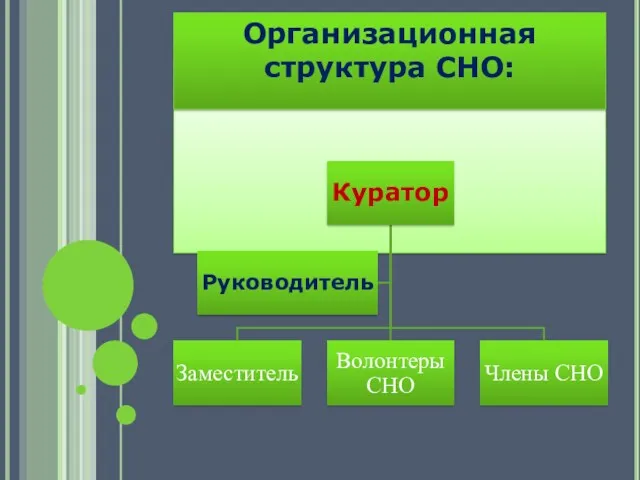 Организационная структура СНО: