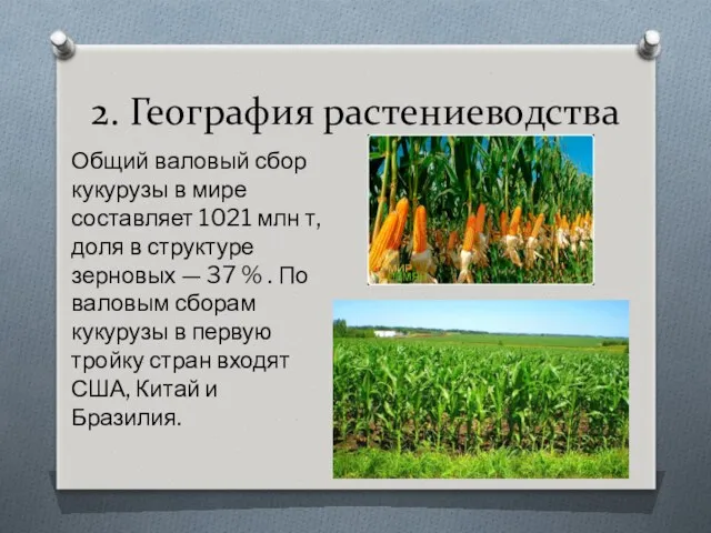 2. География растениеводства Общий валовый сбор кукурузы в мире составляет