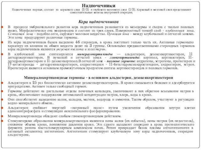 Надпочечники Надпочечники парные, состоят из коркового слоя (2/3) и глубокого